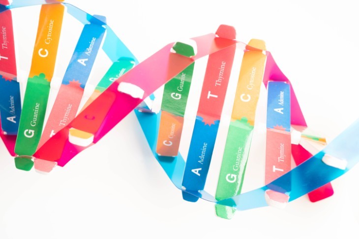 organic solution to plastic waste