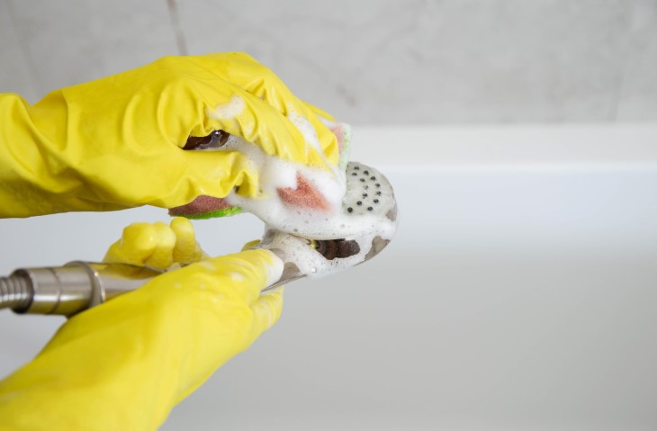 cleaning showerhead