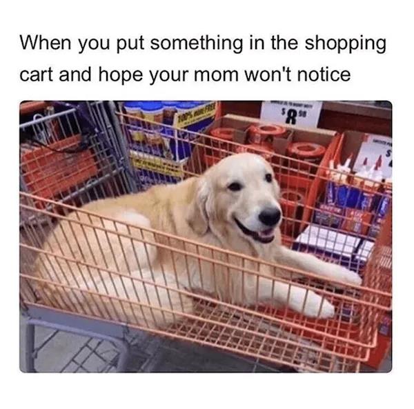 funny shopping memes