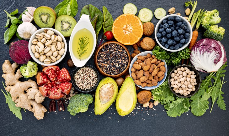 fiber vs protein