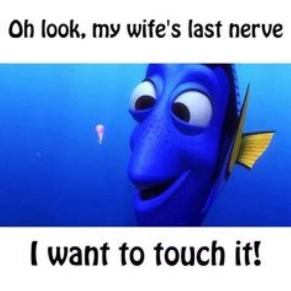 Marriage Memes