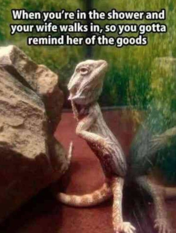 Marriage Memes