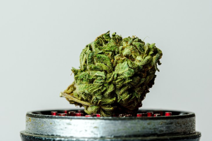quitting weed