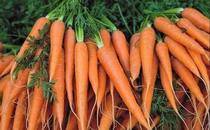 General knowledge test: carrots