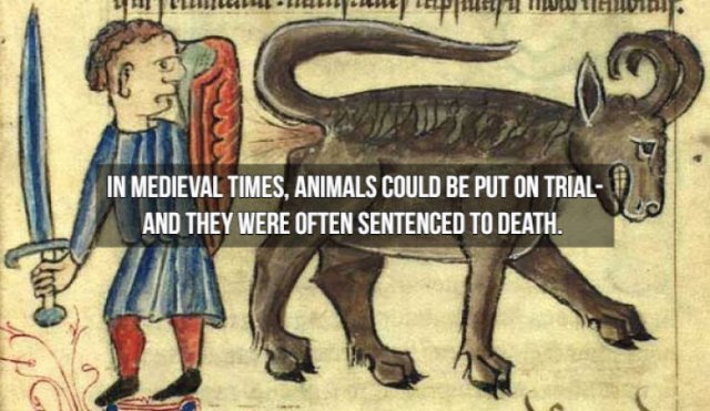 Historical facts