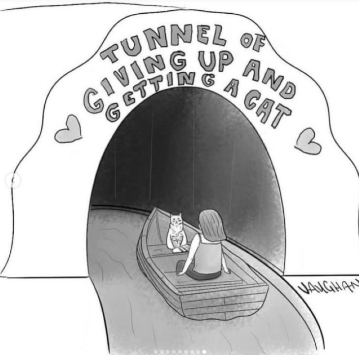 y Adult Comics by Vaughan Tomlinson