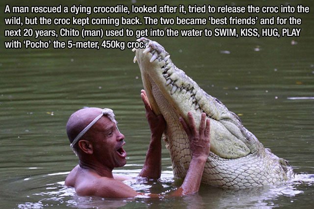 Incredible Facts