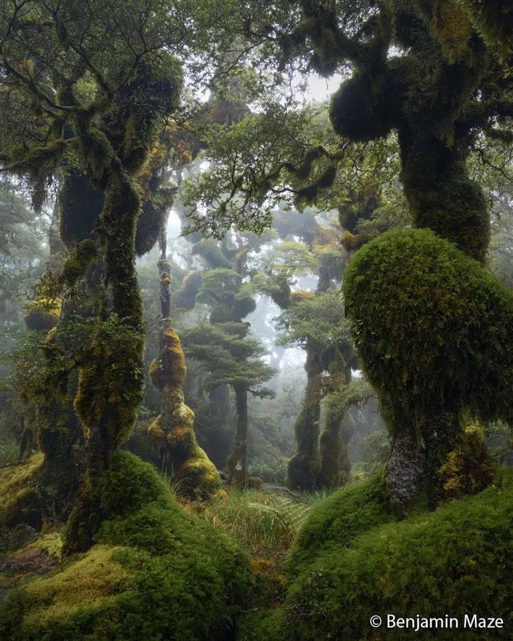 Nature photos from the Australian photography competition