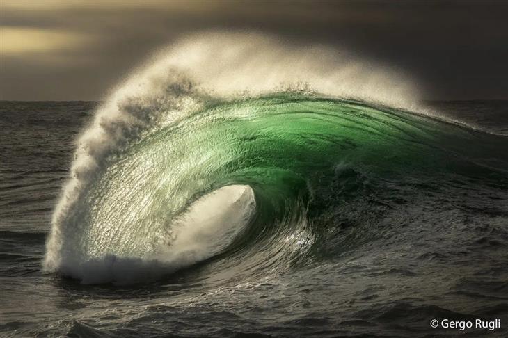 Nature photos from the Australian photography competition