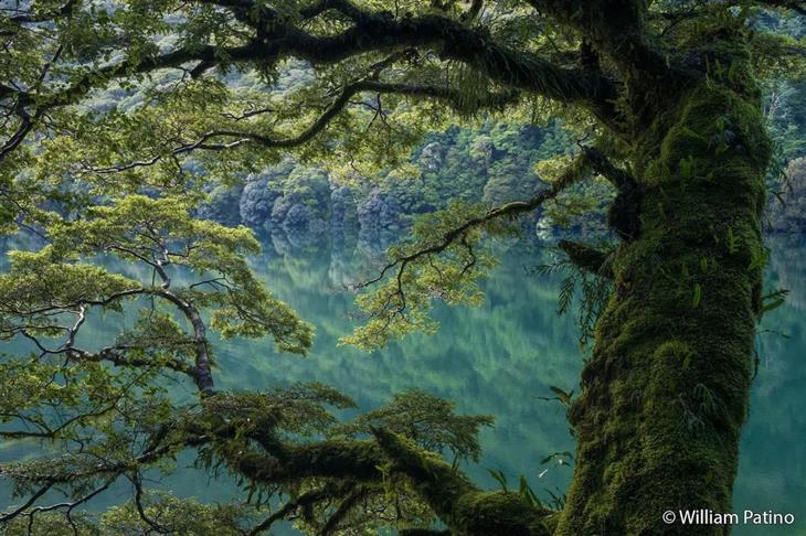Nature photos from the Australian photography competition