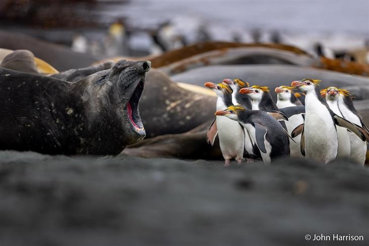 Nature photos from the Australian photography competition