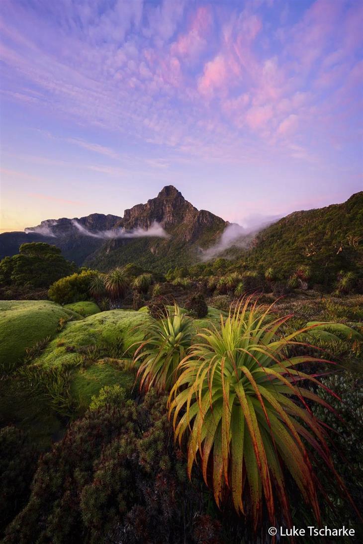 Nature photos from the Australian photography competition