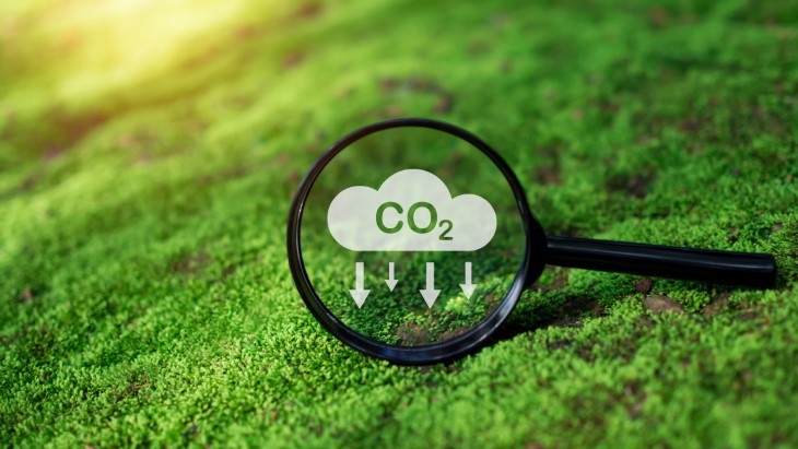CO2 treatment for dementia