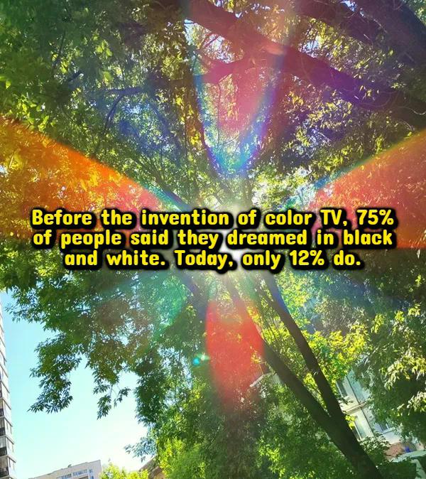 Fascinating Facts