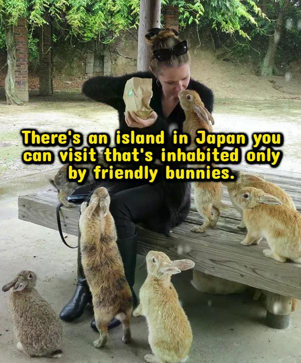 Fascinating Facts