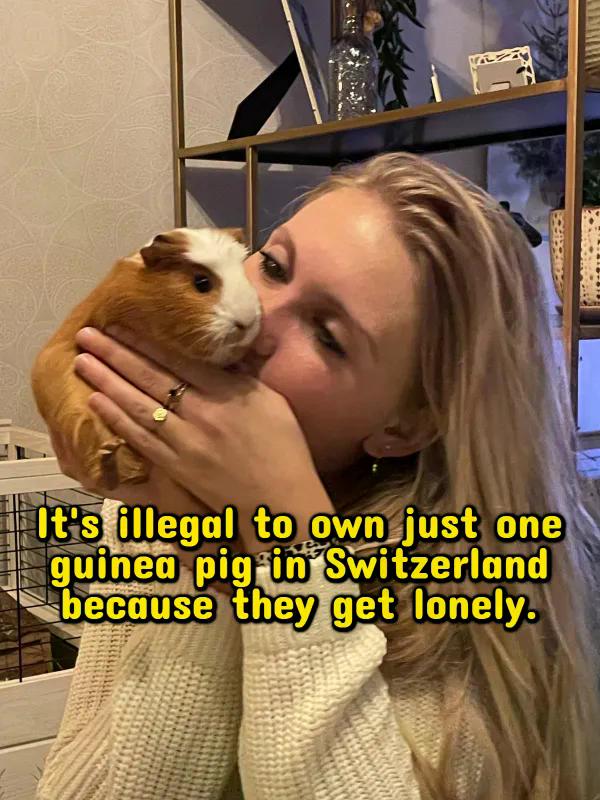 Fascinating Facts