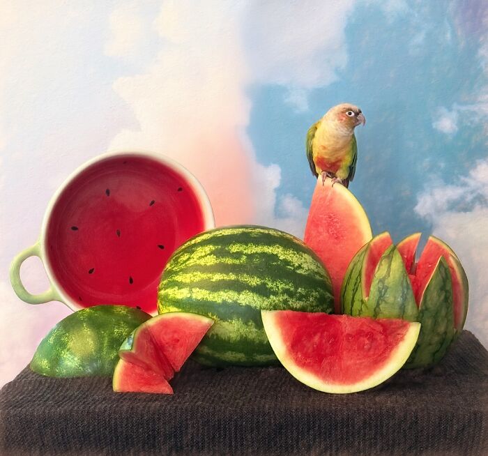 Photos from the iPhone Photography Awards for 2026: