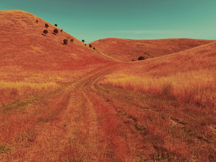 Photos from the iPhone Photography Awards for 2026: