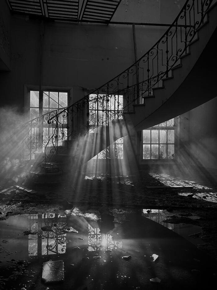 Photos from the iPhone Photography Awards for 2026: