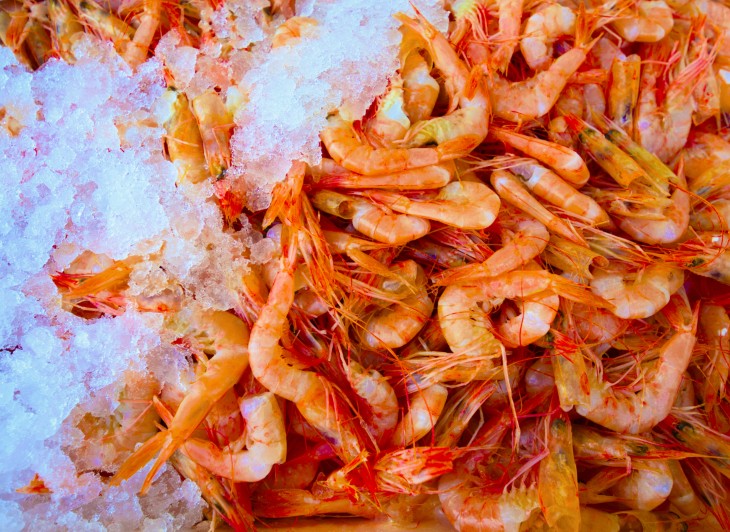 cooking frozen shrimp