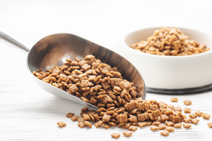 15 דרכים שבהן בתים מושכים נמלים