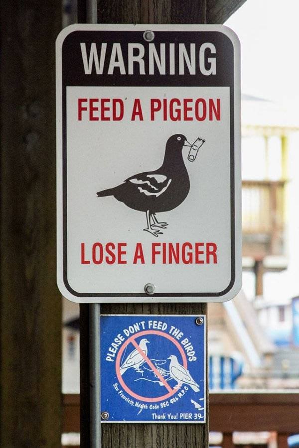 funny warning signs