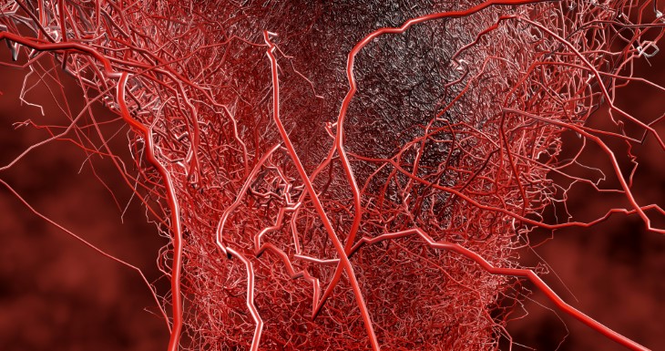 Heart test arteries