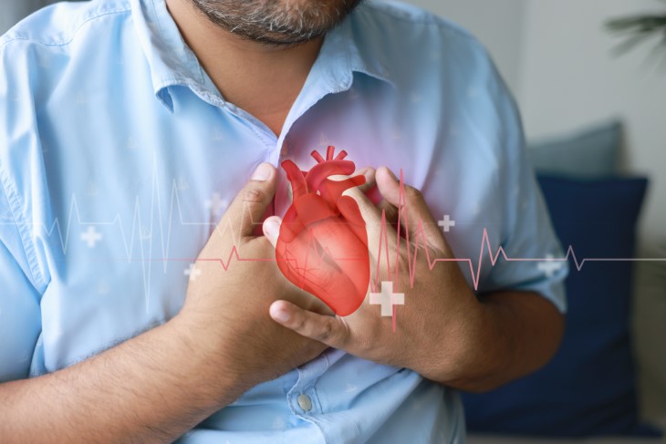 Heart test arteries