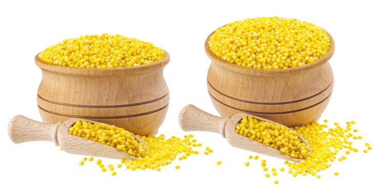 vest whole grains
