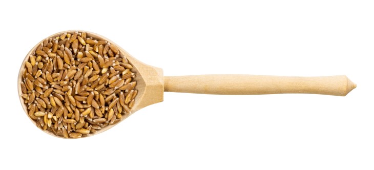 vest whole grains