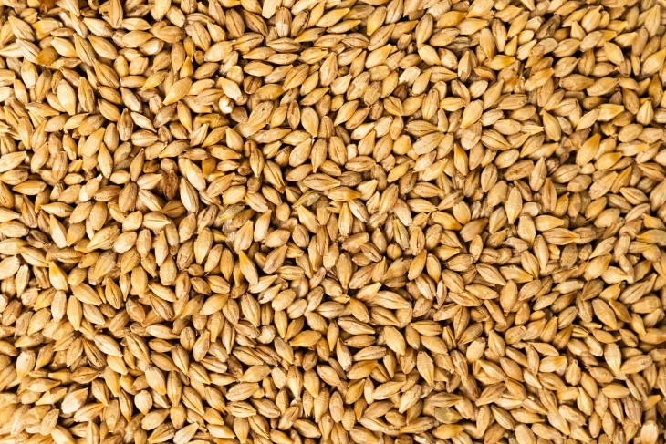 vest whole grains