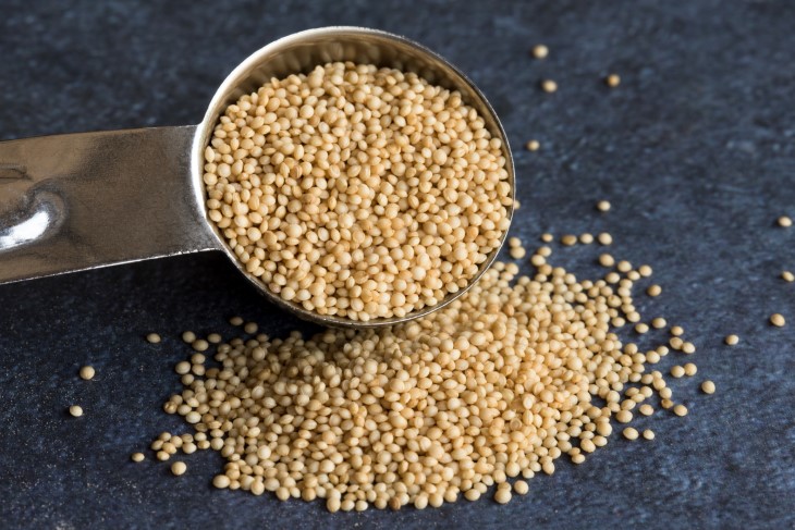 vest whole grains