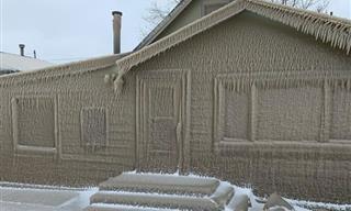Homes on Lake Erie Covered in Thick Ice
