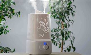 12 Reasons Why You Need a Humidifier in Your Home