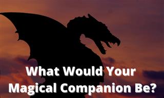 What is Your Magical Companion?
