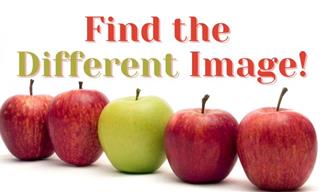QUIZ: Find The Difference Challenge For Kids of All Ages!