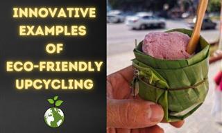These People Found Eco-Friendly Ways to Recycle Old Things