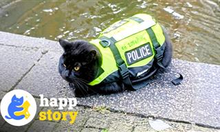 Paw Patrol? The Cutest Police Officer in the World