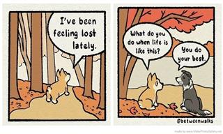 Heartwarming Animal Comics Perfect for a Feel-Good Break