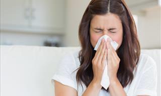 Home Remedies to Treat Dust Allergies