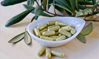 Multiple Benefits of Olive Leaf Extract