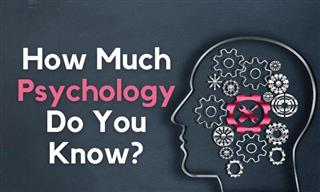 Trivia: How Much Psychology Do You Know?