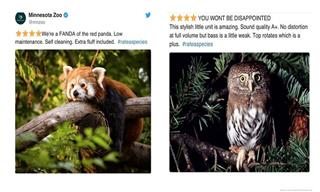 FUNNY: Zoo Animals Get Hilarious Amazon-Style Reviews