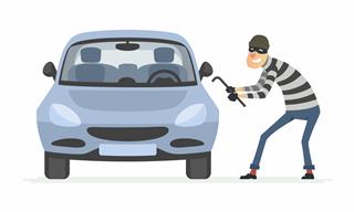 All You Need to Know about Car Thieves