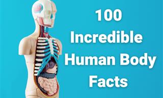 One Hundred Fascinating Facts About the Amazing Human Body