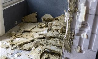 What To Do If You Find Asbestos Under Your Tiles