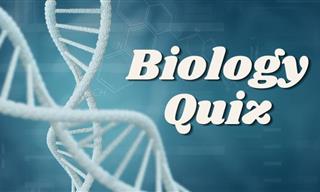 Quiz: Can You Pass Our Biology Challenge?