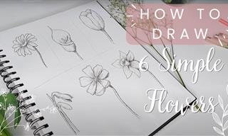 How to Draw 6 Types of Flowers Right Now