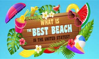 Infographic: Comparing the Best Beaches in the USA