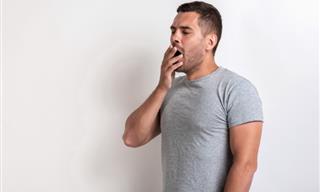 Can We "Pay Back" Our Lack of Sleep to Our Bodies?